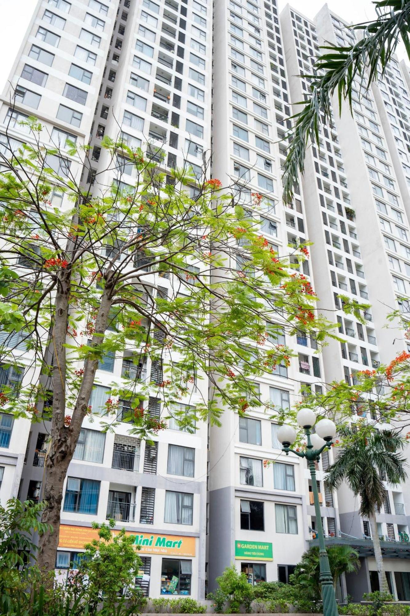By'S House- Can Ho View Bien ハロン エクステリア 写真